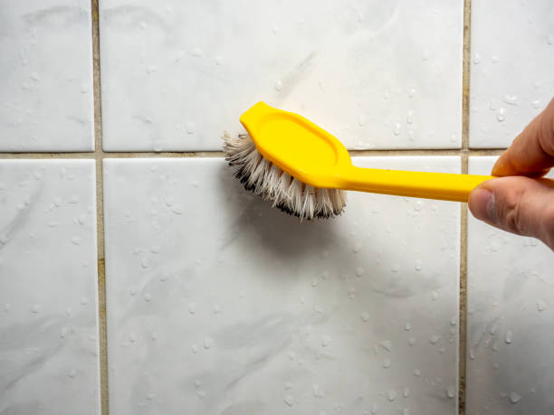 Best Basement Mold Remediation in Crosbyton, TX