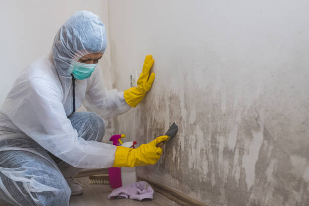 Crosbyton, TX Mold Remediation Company