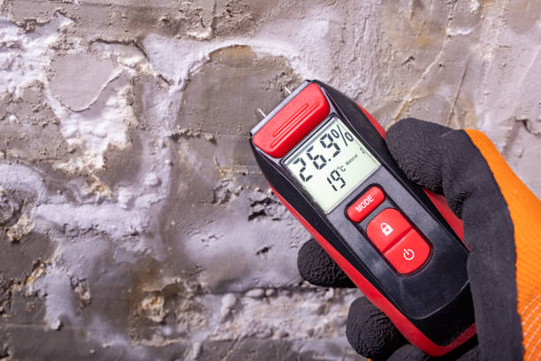 Best Kitchen Mold Remediation in Crosbyton, TX