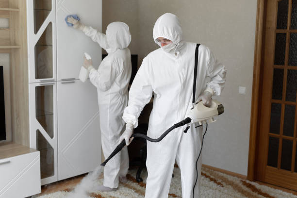 Best Residential Mold Remediation in Crosbyton, TX