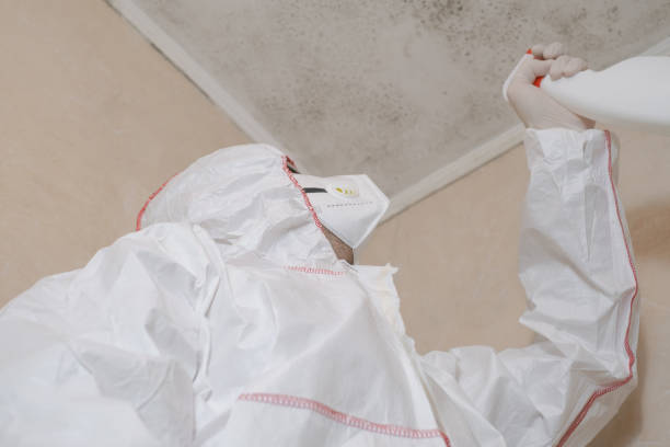 Best Insurance-Related Mold Remediation in Crosbyton, TX