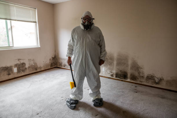 Best Post-Flood Mold Remediation in Crosbyton, TX