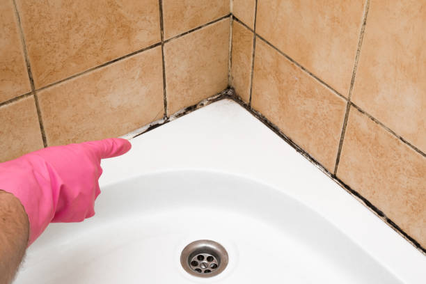 Best Insurance-Related Mold Remediation in Crosbyton, TX